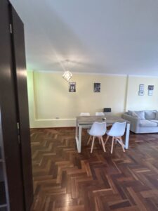 dpto buenos aires 1004 10 (20)